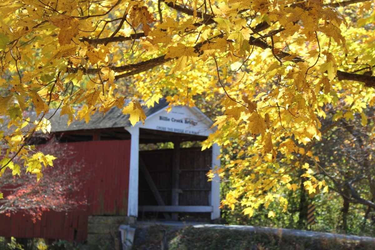 bright yellow fall tree with red and white covered bridge in background