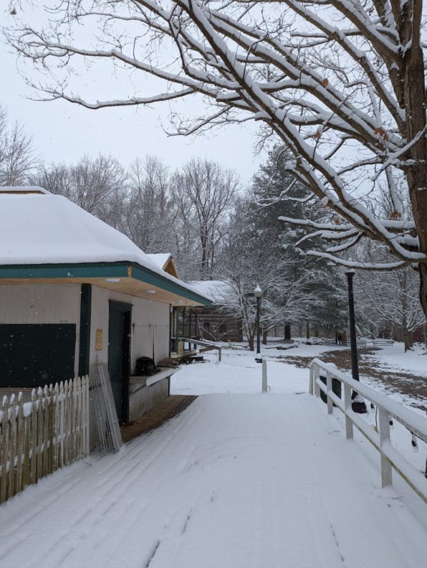 snow covering a boardwalk with trees and a green and white building on the left side
