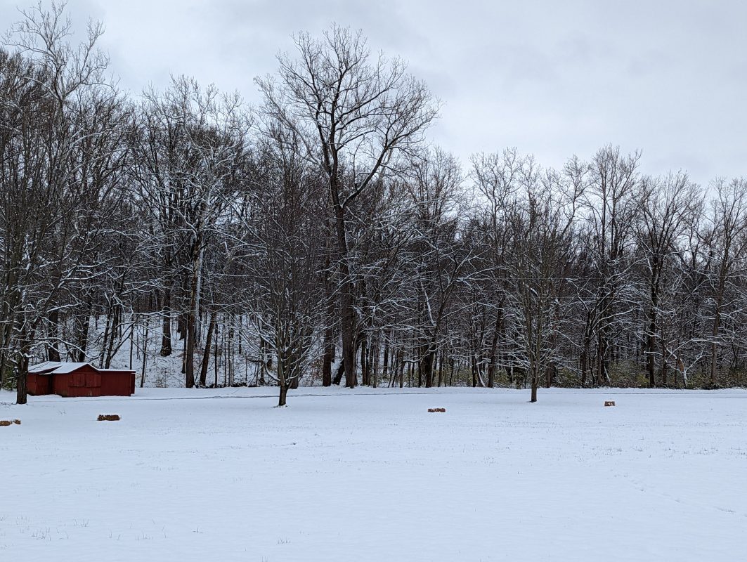 snowy field with trees covered in snow and a small red building on left mid ground
